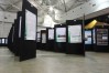 38th Annual Meeting - Brisbane, Australia